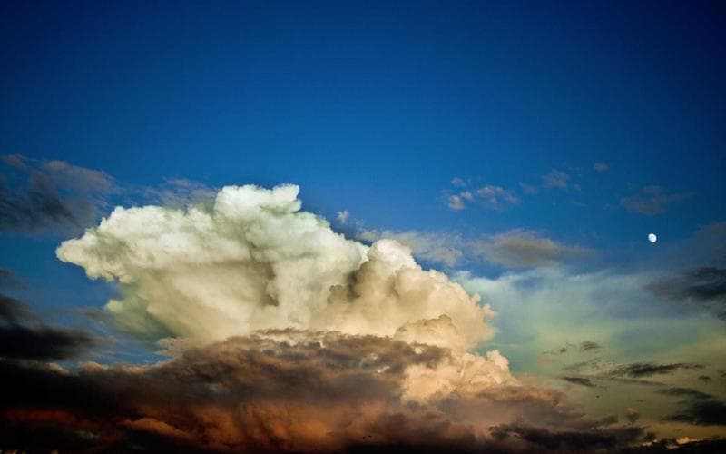 Manuka / Gathering Event Workspace